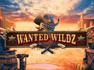 Wanted Wildz screenshot
