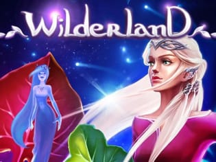 Wilderland screenshot