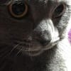Murat Eren avatar